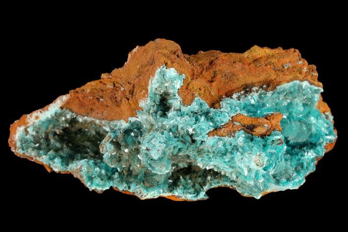 Fibrous Aurichalcite Crystal Cluster - Mexico #119159